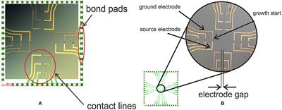 Multisensor Systems by Electrochemical Nanowire Assembly for the Analysis of Aqueous Solutions